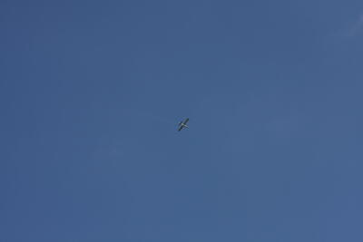 IMG 1599